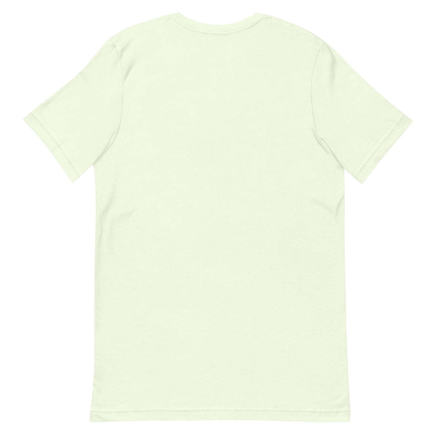 Team USA Club Shirt